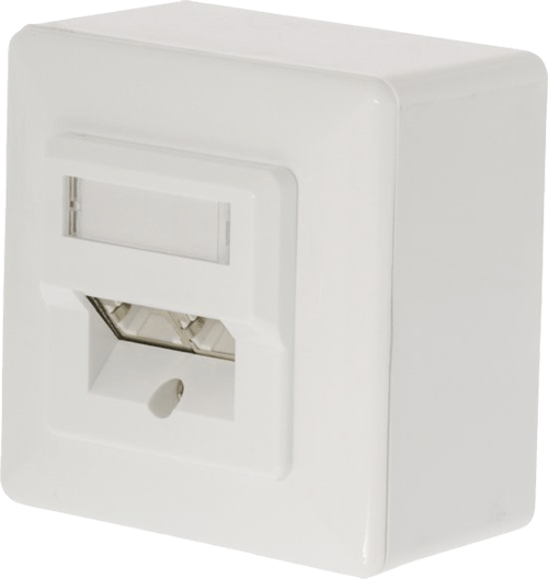 foto van Opbouwdoos RJ45 wit