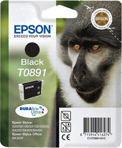 foto van EPSON T0891 zwart